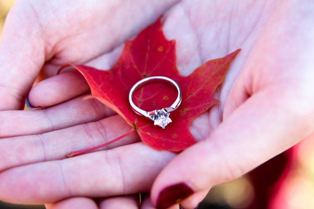 How to Migrate to Canada by Marriage : Benefits, Documents Required